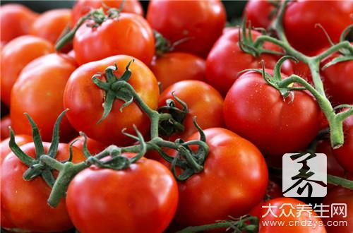 六款西红柿减肥食谱一周见效